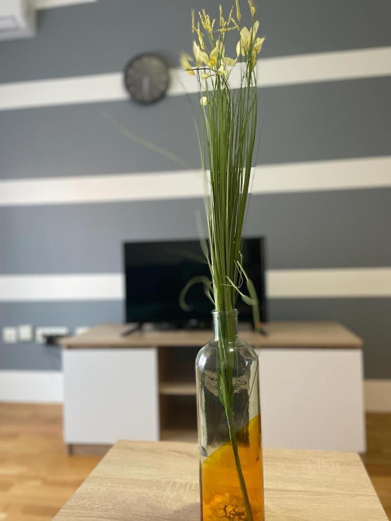 Naki Apartmani بودغوريتْسا الغرفة الصورة