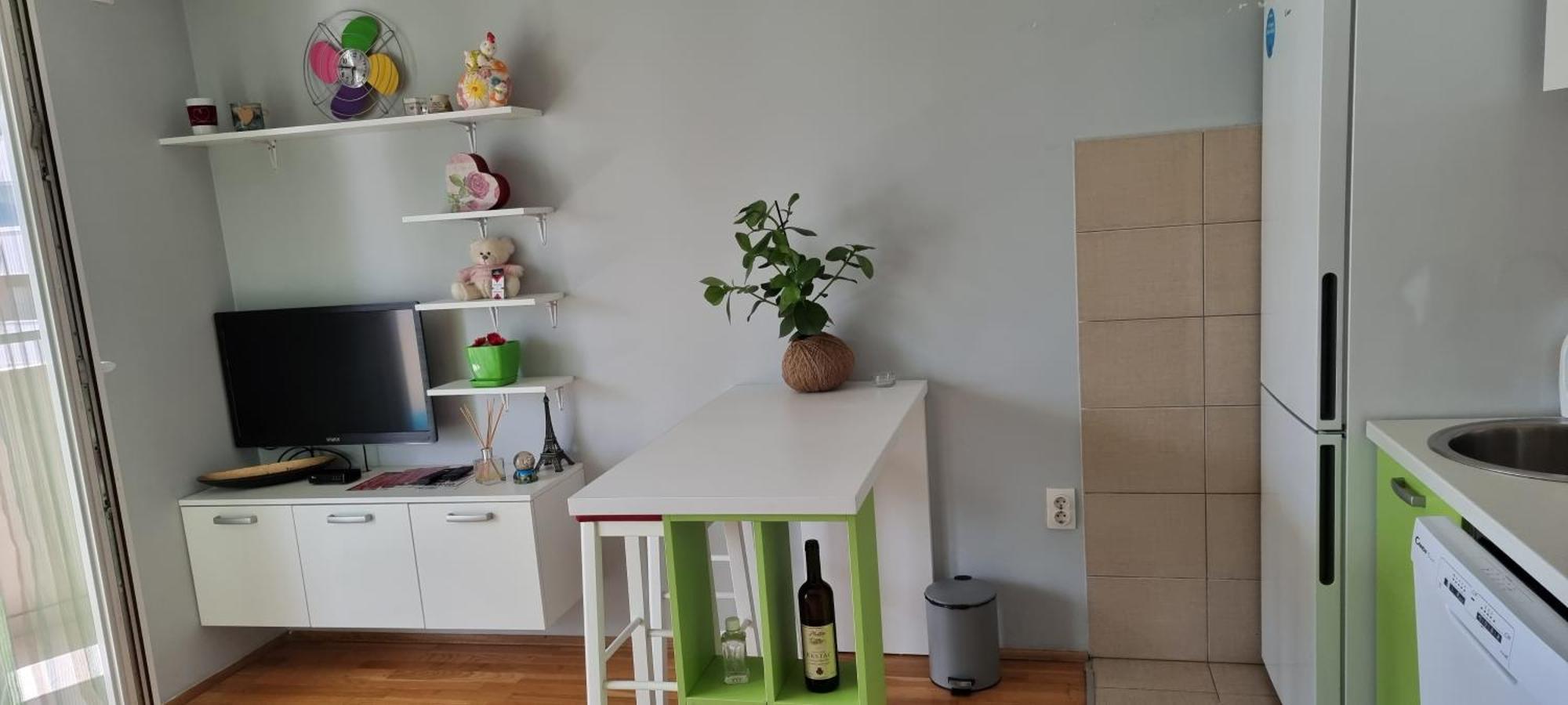 Naki Apartmani بودغوريتْسا الغرفة الصورة